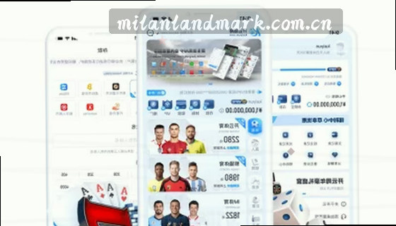 支持的赛事项目有哪些？